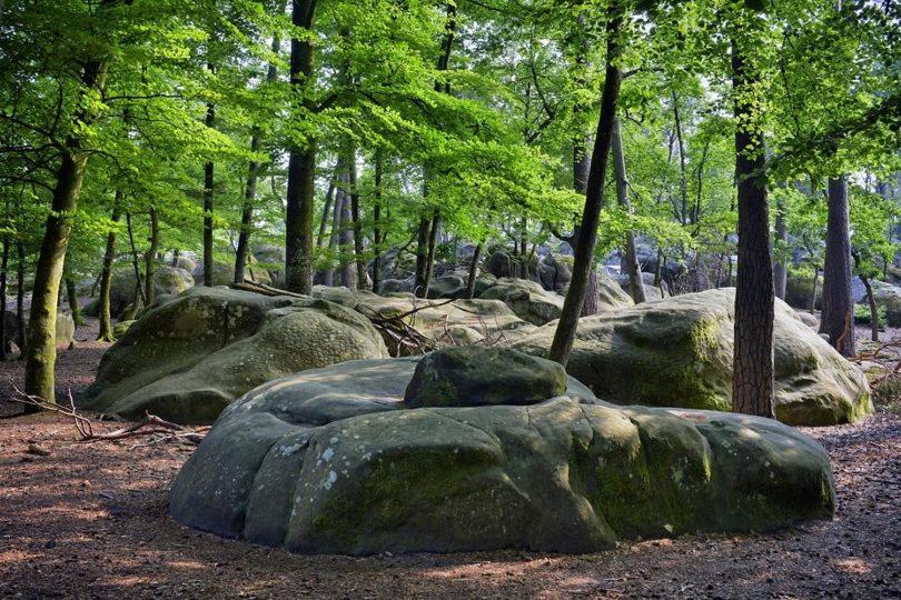 Maison de charme en forêt de Fontainebleau Recloses Extérieur photo